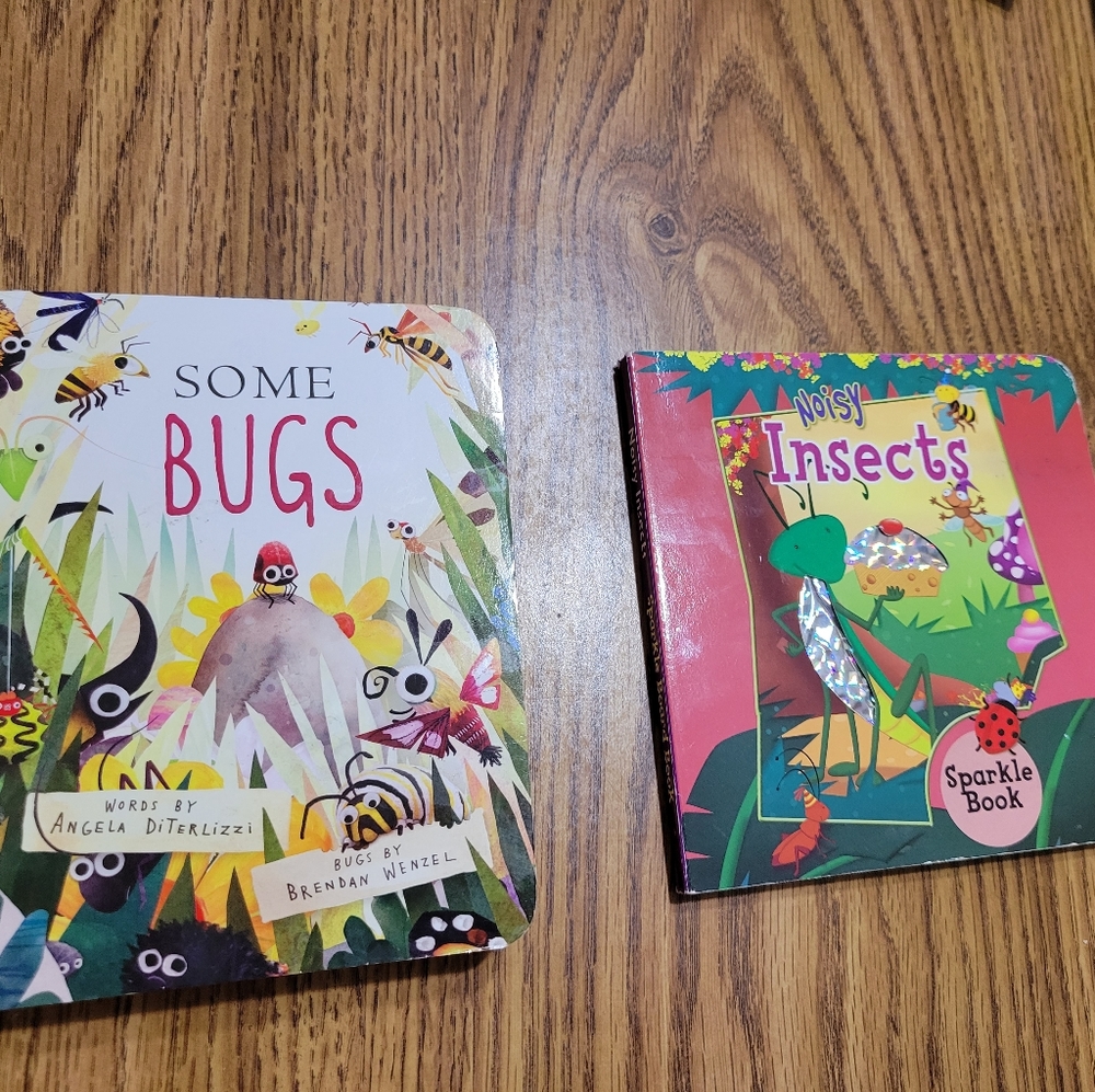 Pair of bug books - Some Bugs and Noisy Insects board books